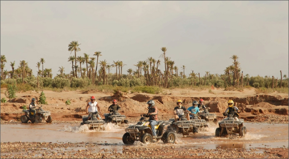 Marrakech Activities with Terra Nomadic Travels