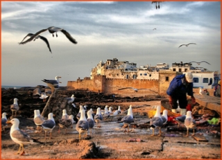 Morocco 4 Travels, private tours in Morocco,Marrakech excursions to Sahara desert