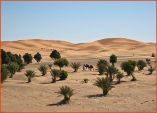 Morocco 4 Travels, private tours in Morocco,Marrakech excursions to Sahara desert