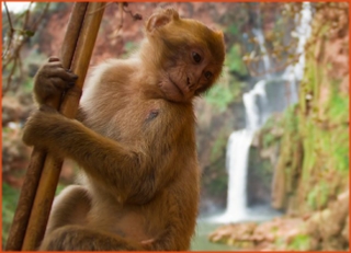 Morocco 4 Travels, private tours in Morocco,Marrakech excursions to Sahara desert