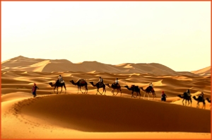 Morocco 4 Travels, private tours in Morocco,Marrakech excursions to Sahara desert