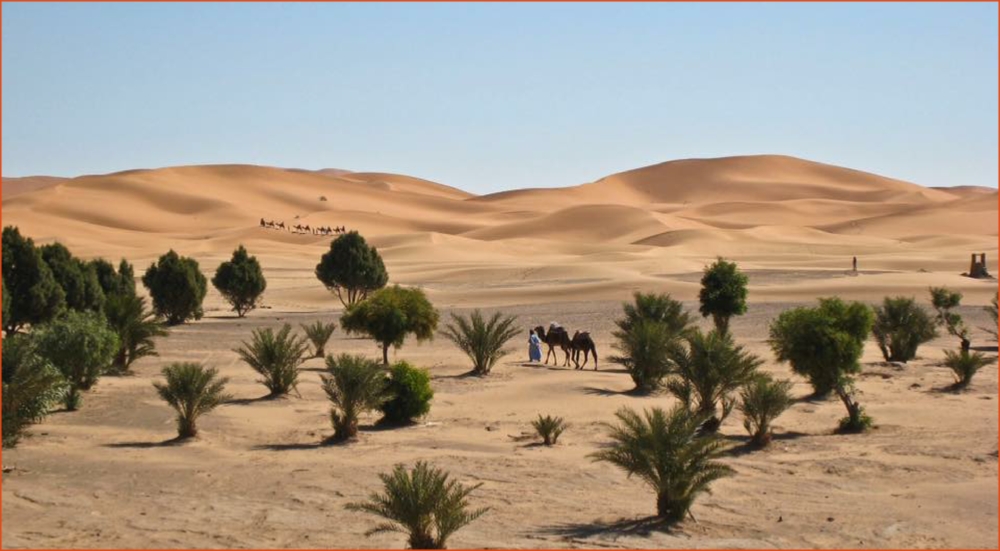 Morocco 4 Travels, private tours in Morocco,Marrakech excursions to Sahara desert