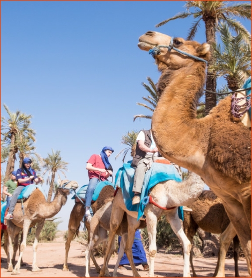 Morocco 4 Travels, private tours in Morocco,Marrakech excursions to Sahara desert