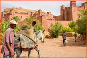 Morocco 4 Travels, private tours in Morocco,Marrakech excursions to Sahara desert