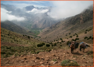 Morocco 4 Travels, private tours in Morocco,Marrakech excursions to Sahara desert