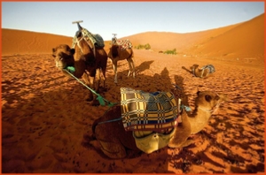 Morocco 4 Travels, private tours in Morocco,Marrakech excursions to Sahara desert