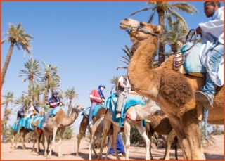 Morocco 4 Travels, private tours in Morocco,Marrakech excursions to Sahara desert