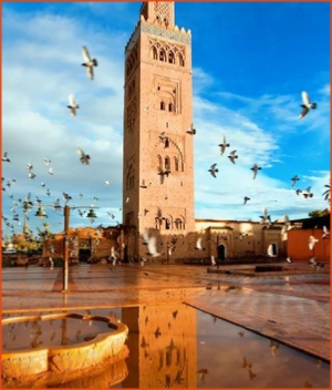 Morocco 4 Travels, Marrakech travel package,Marrakech deal,Marrakech excursion package