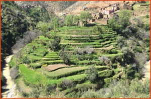 8 days Atlas trekking to the valley of Anougal,adventure Atlas hiking in Morocco